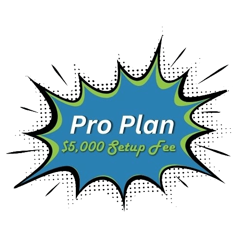 Pro Plan showing $5000 setup fee for Ad Insight Online Marketing Pricing Jonestown Tx